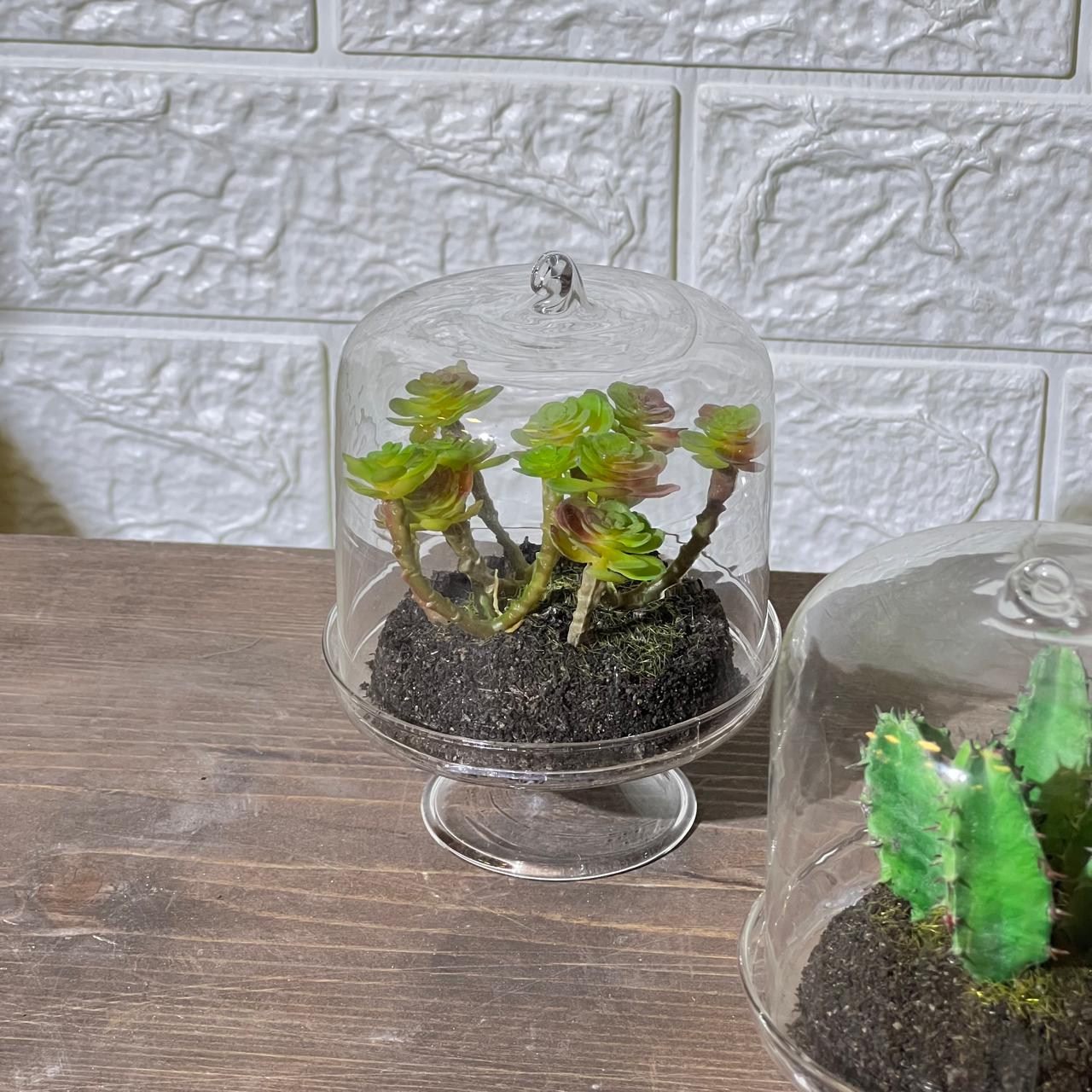 Terrarium Look Artificial Plant