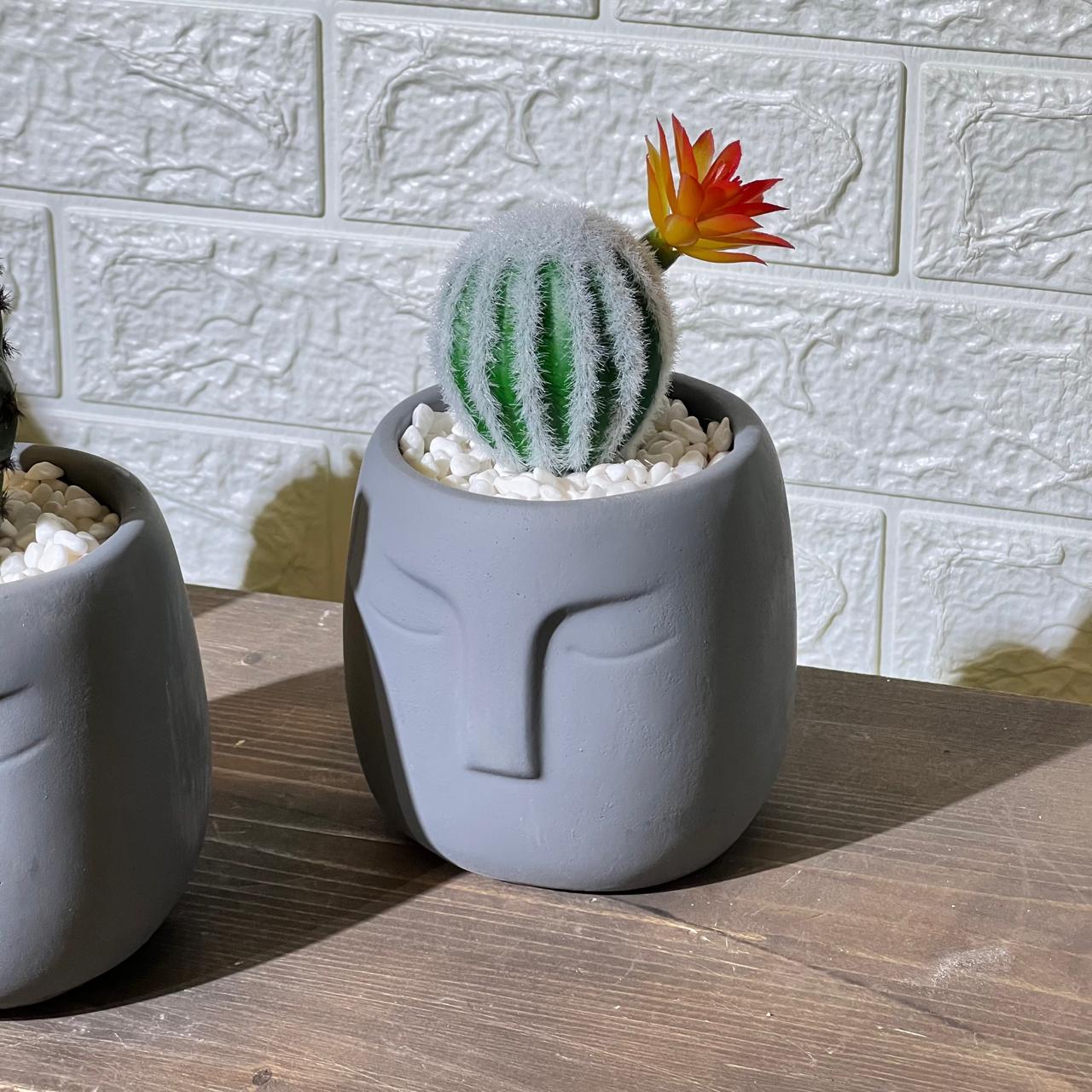 Face Concrete Artificial Cactus
