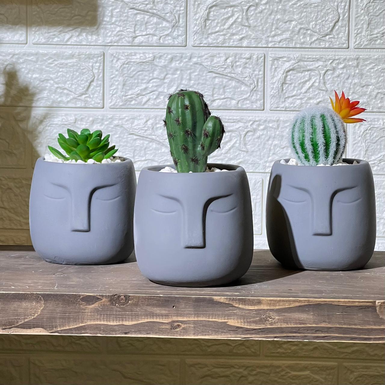 Face Concrete Artificial Cactus