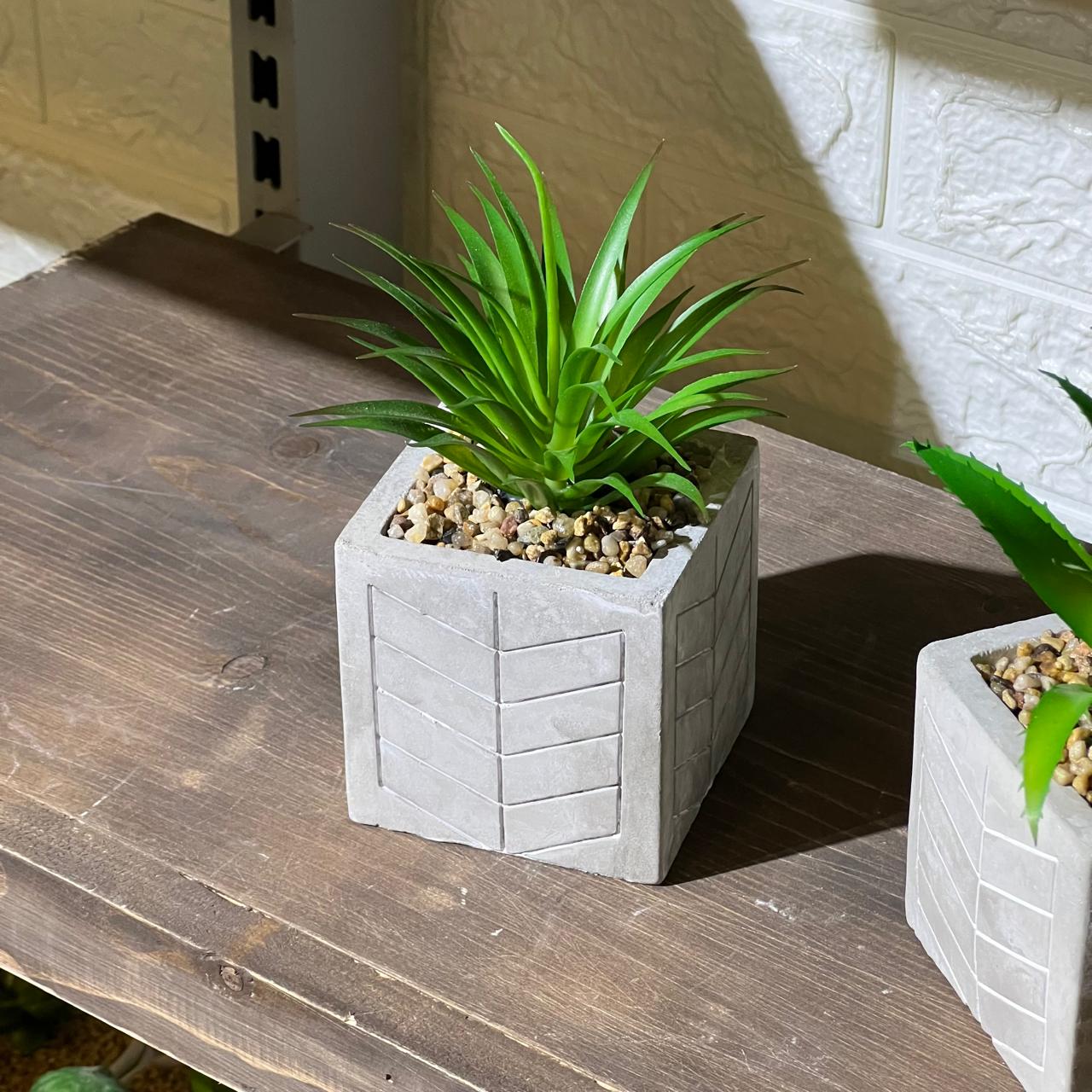 Patterned Concrete Pot Succulent Artificial