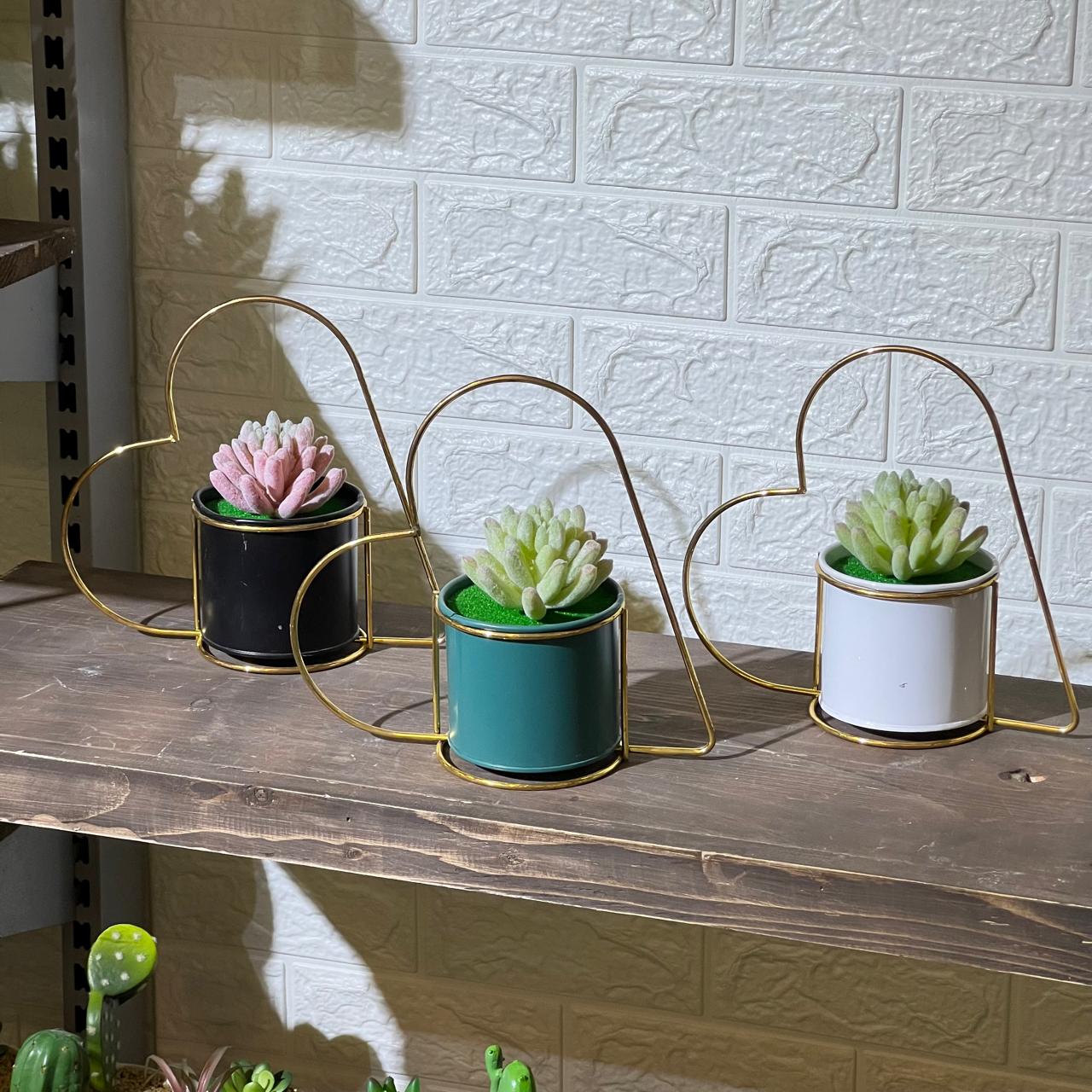 Heart Frame Artificial Succulent