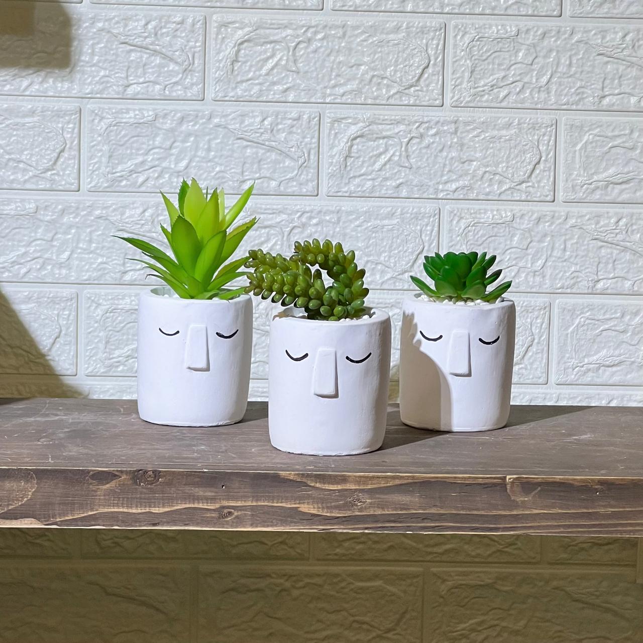 White Face Clay Look Pot Artificial Succulent