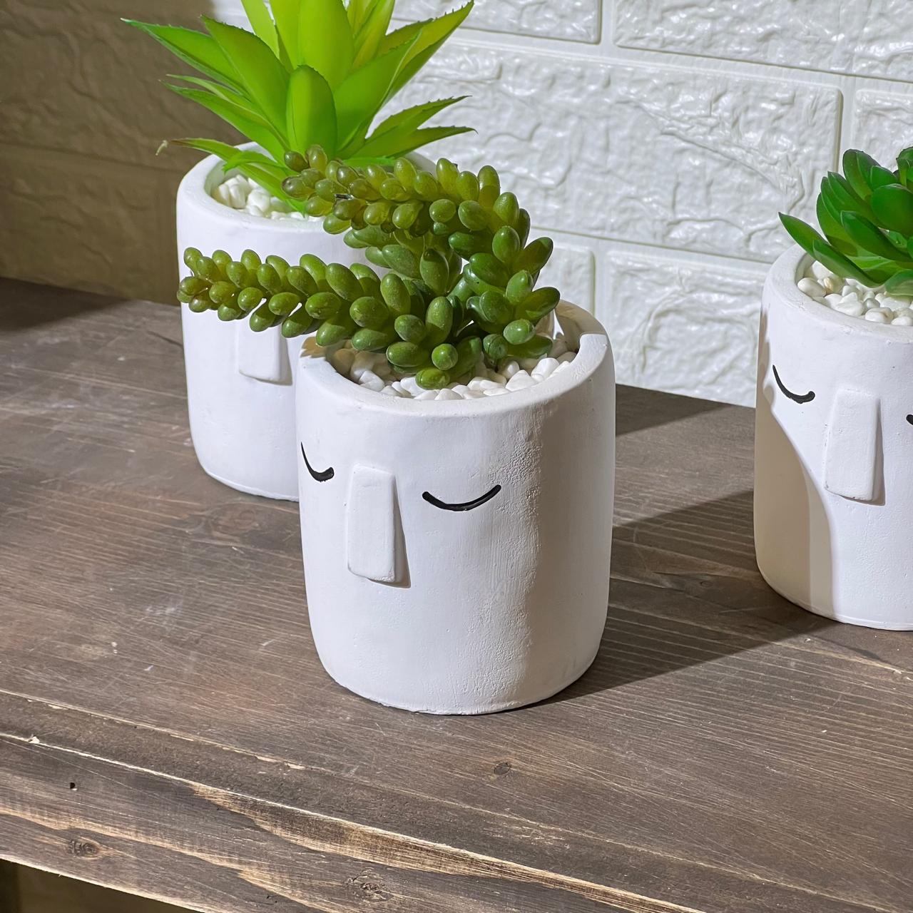 White Face Clay Look Pot Artificial Succulent