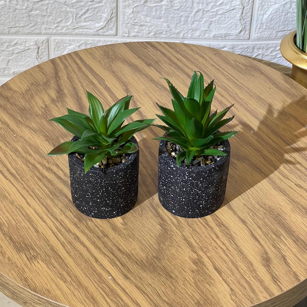 Specced Black Pot Artificial Plant