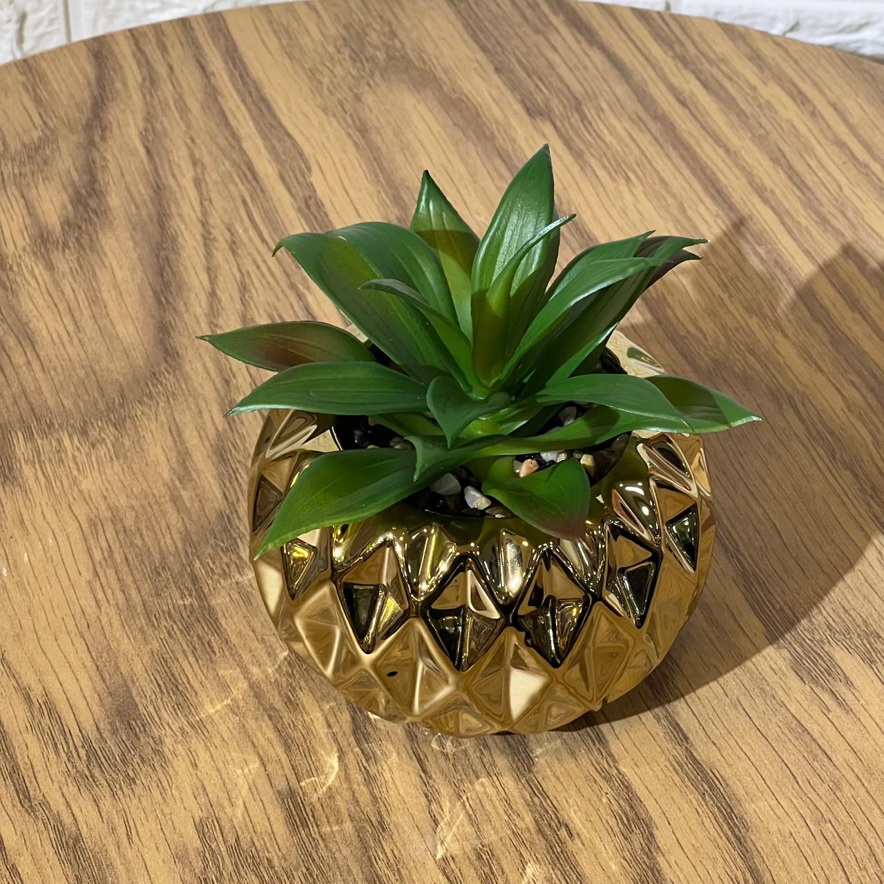 Chrome Golden Pot Arrangement