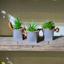 Metal Pot Look Artificial Succulent
