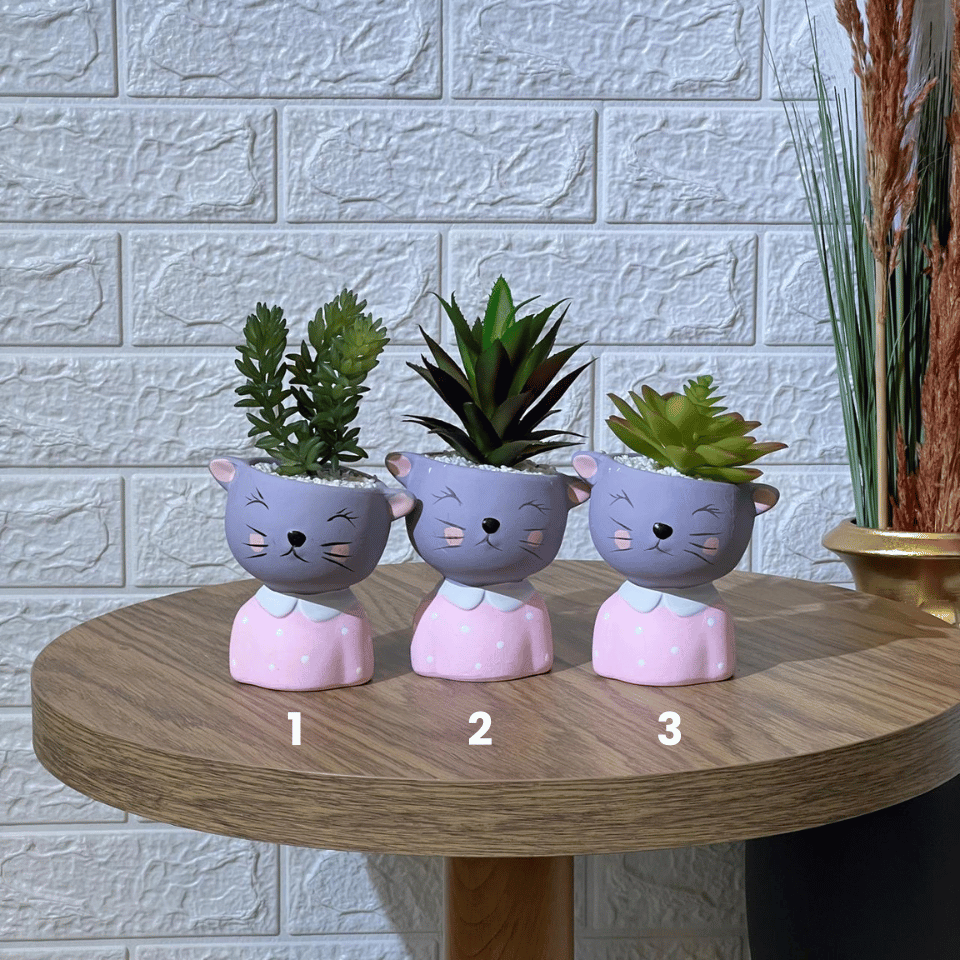 Cute Kitten Pot