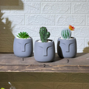 Face Concrete Artificial Cactus