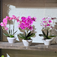 White Pot Orchid Artificial Plant