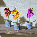 Jean Stone Look Orchid Artificial Plant