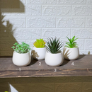 White Pot Artificial Succulent