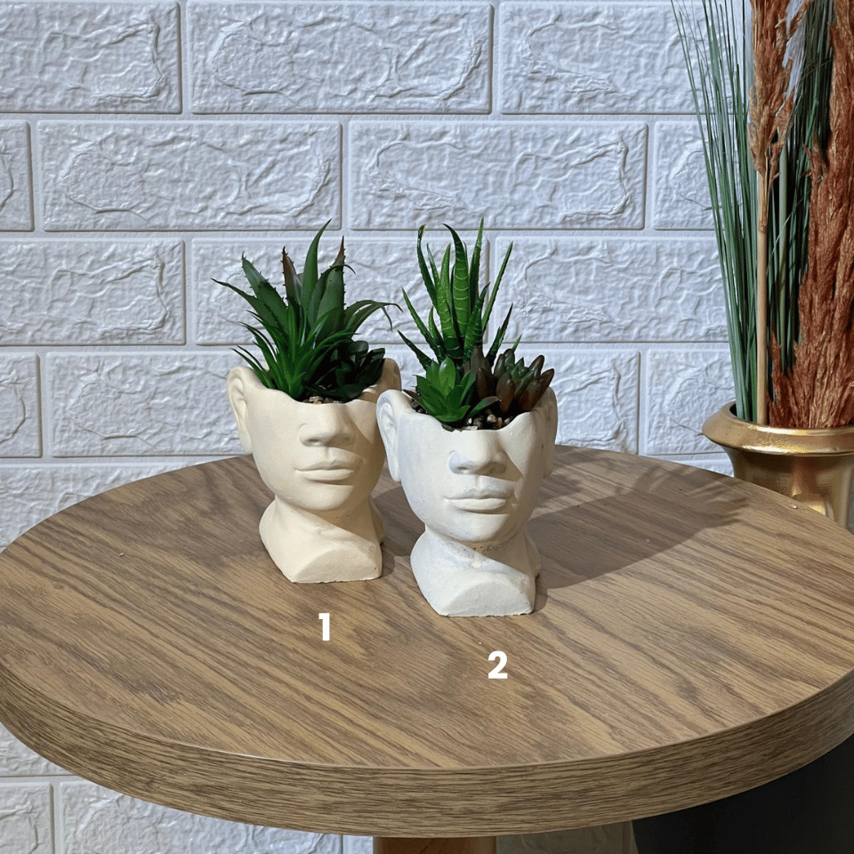 Face Pot Arrangement