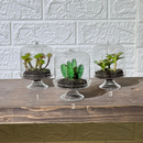 Terrarium Look Artificial Plant