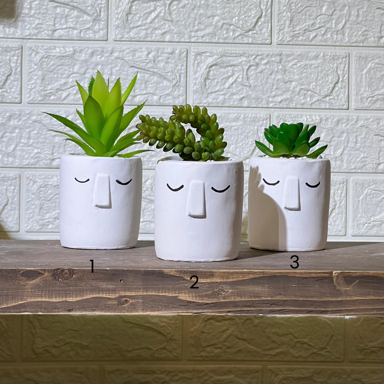 White Face Clay Look Pot Artificial Succulent