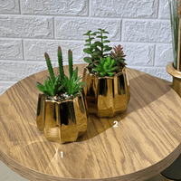 Succulent Arrangment
