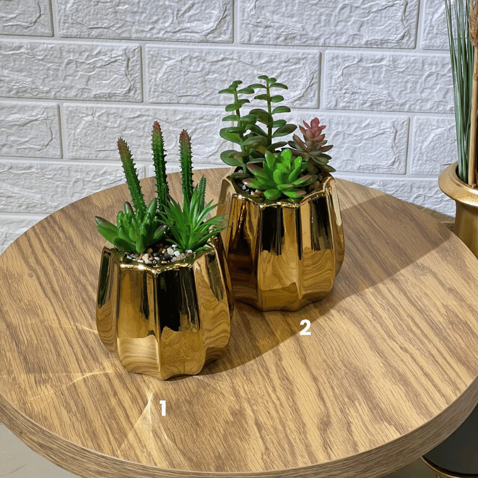 Succulent Arrangment