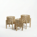 Plant Pot