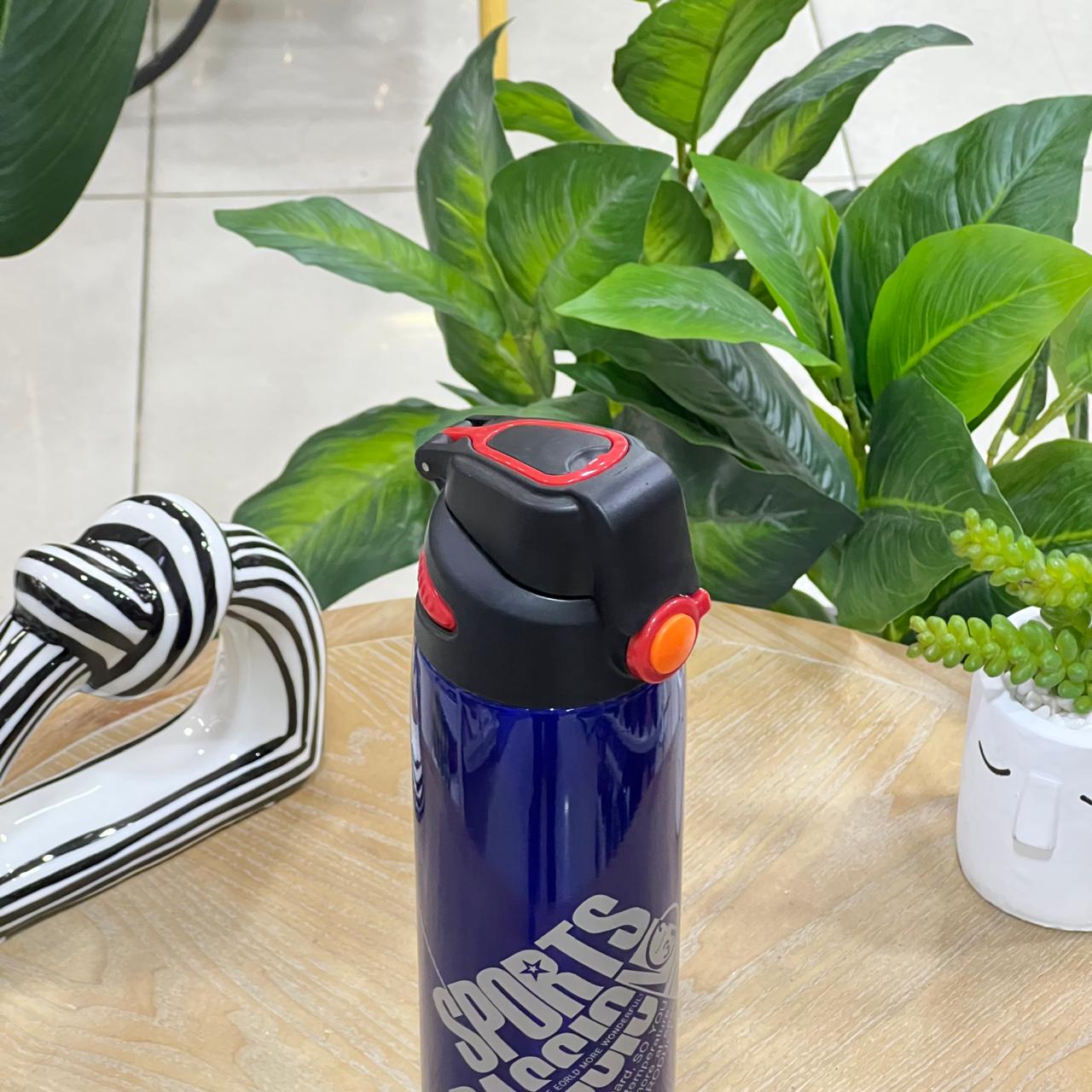 Big Sports Passion Stainless Steel Thermal Bottle