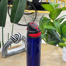 Big Sports Passion Stainless Steel Thermal Bottle