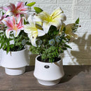 White Pot Flower