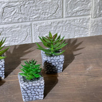 Stone Look Mini Artificial Plant