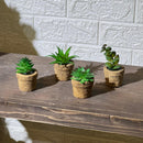 Clay Pot Look Mini Artificial Plant