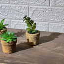 Clay Pot Look Mini Artificial Plant