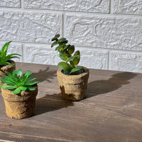 Clay Pot Look Mini Artificial Plant