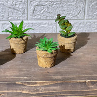 Clay Pot Look Mini Artificial Plant