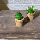 Clay Pot Look Mini Artificial Plant