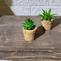 Clay Pot Look Mini Artificial Plant