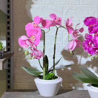 White Pot Orchid Artificial Plant