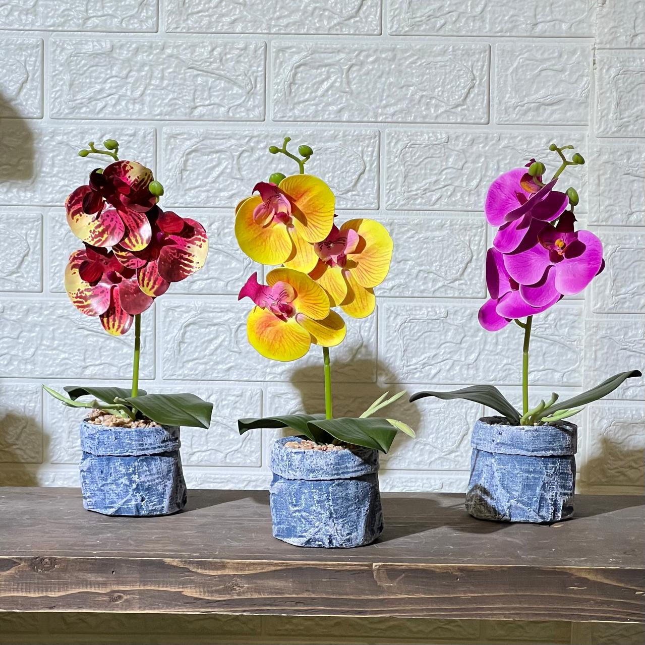 Jean Stone Look Orchid Artificial Plant