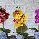 Jean Stone Look Orchid Artificial Plant