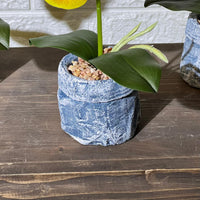 Jean Stone Look Orchid Artificial Plant