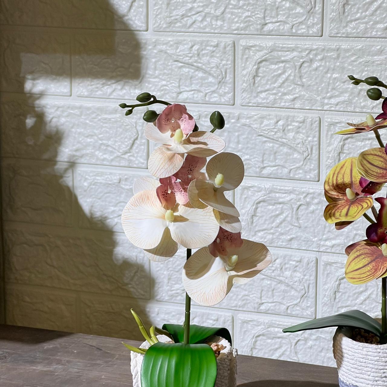 Cute Rope Stone Look Orchid