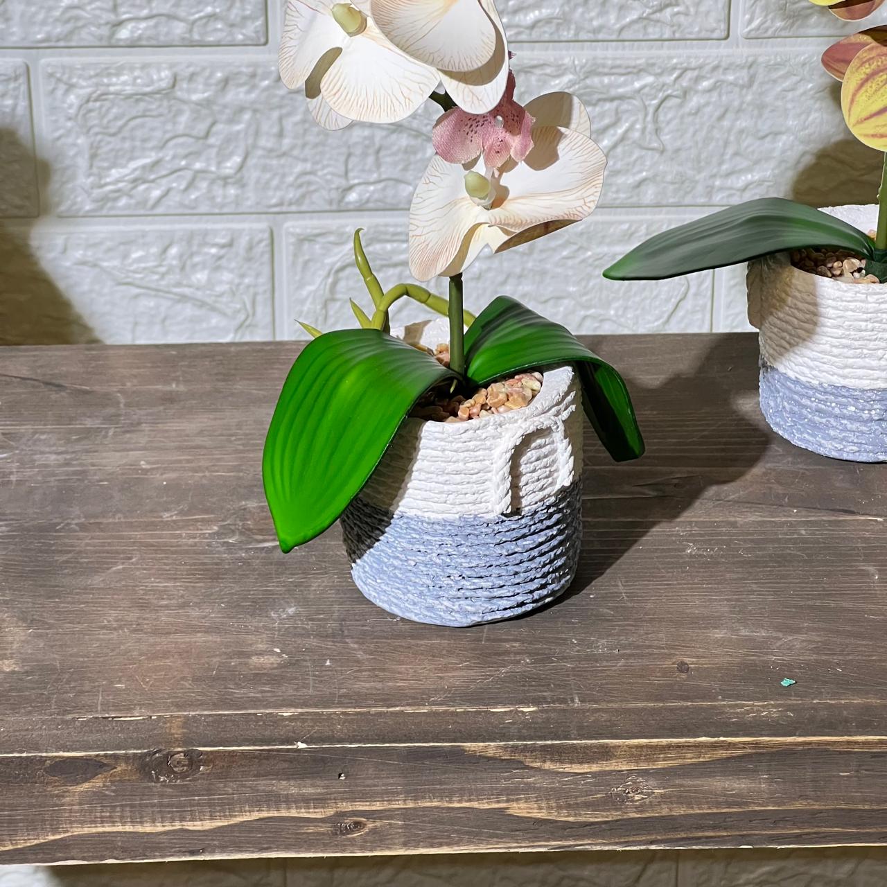 Cute Rope Stone Look Orchid