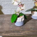 Cute Rope Stone Look Orchid