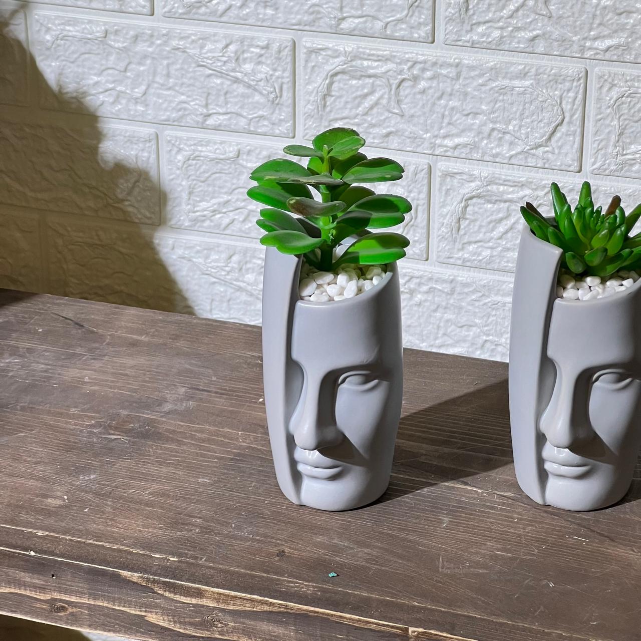Face Pot Succulent Artificial Plant