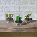 Terrarium Look Artificial Plant