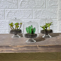 Terrarium Look Artificial Plant