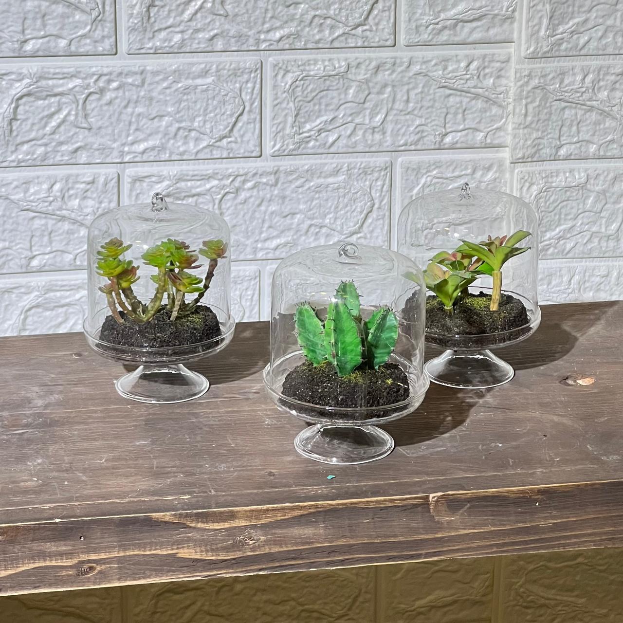 Terrarium Look Artificial Plant