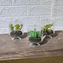 Terrarium Look Artificial Plant