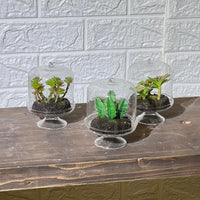 Terrarium Look Artificial Plant