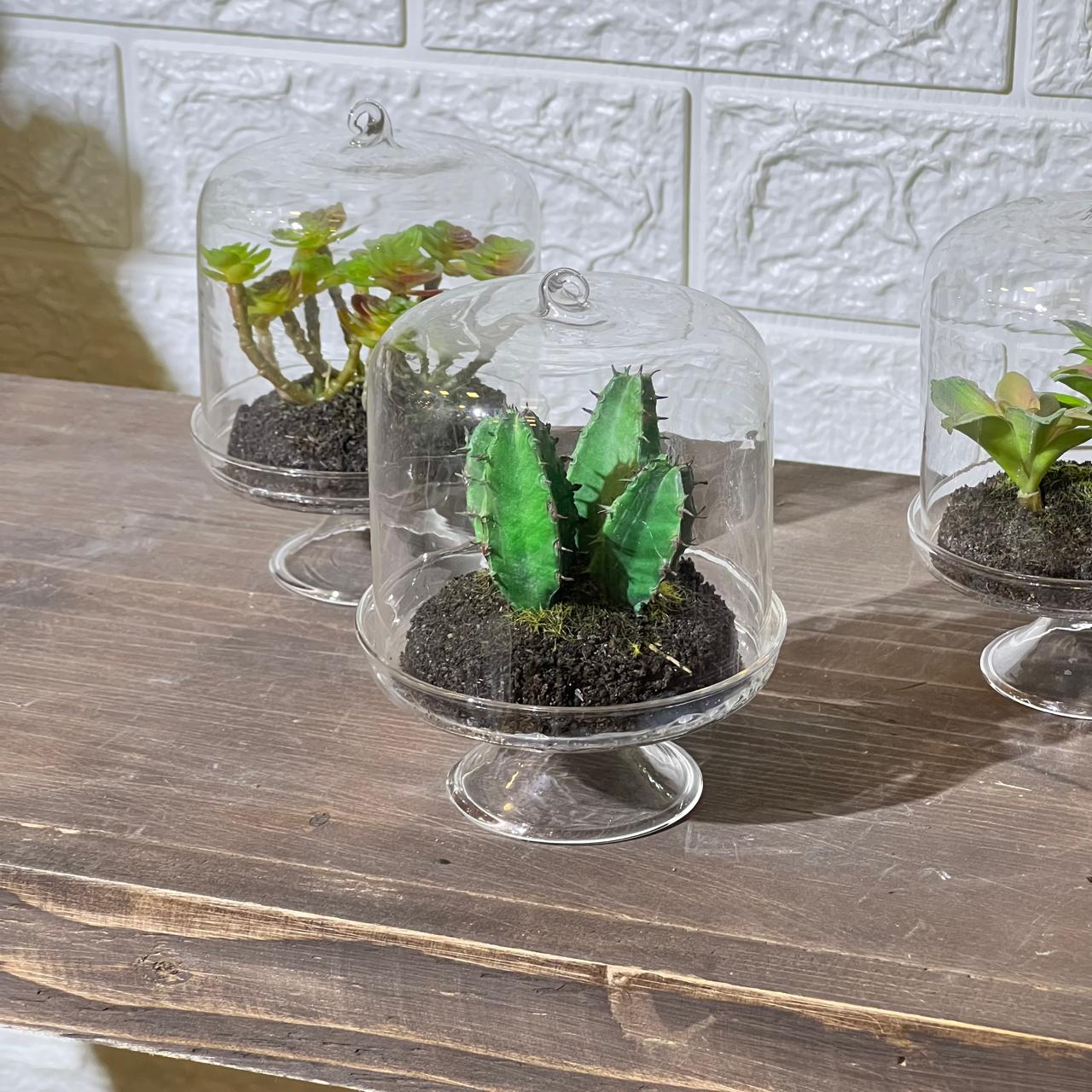Terrarium Look Artificial Plant