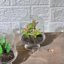Terrarium Look Artificial Plant