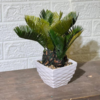 Cute Mini Palm Artificial Plant