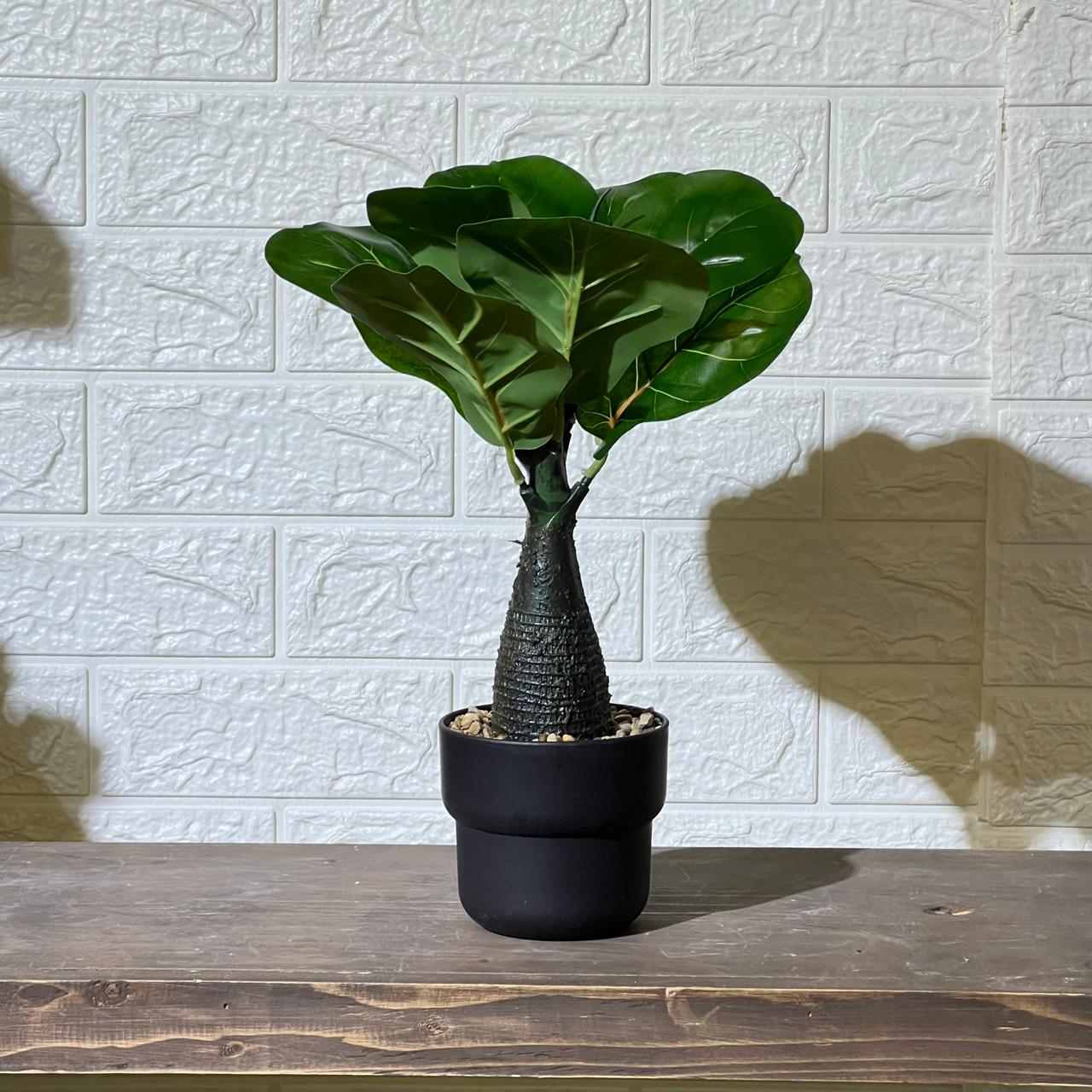 Cute Fiddle Leaf Artificial Plant