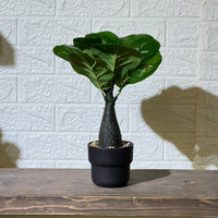 Cute Fiddle Leaf Artificial Plant