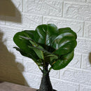 Cute Fiddle Leaf Artificial Plant
